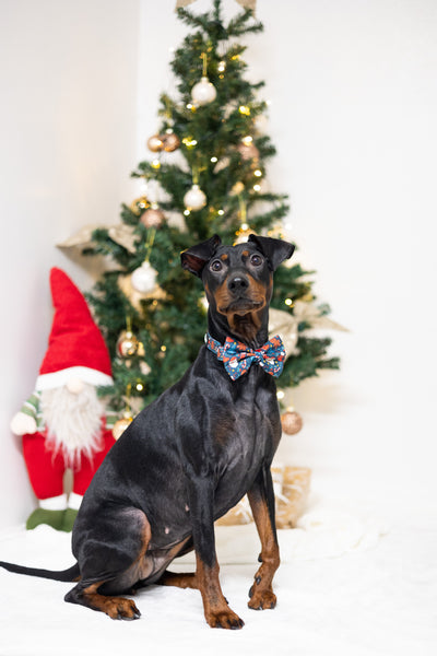 Fluga - Happy Christmas