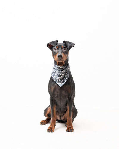 Bandana - Grey Camo - Tazz