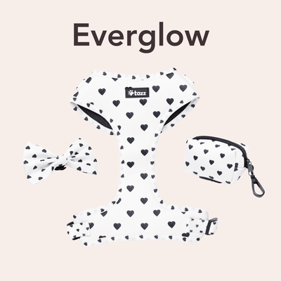 Everglow - Tazz