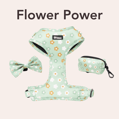 Flower Power - Tazz