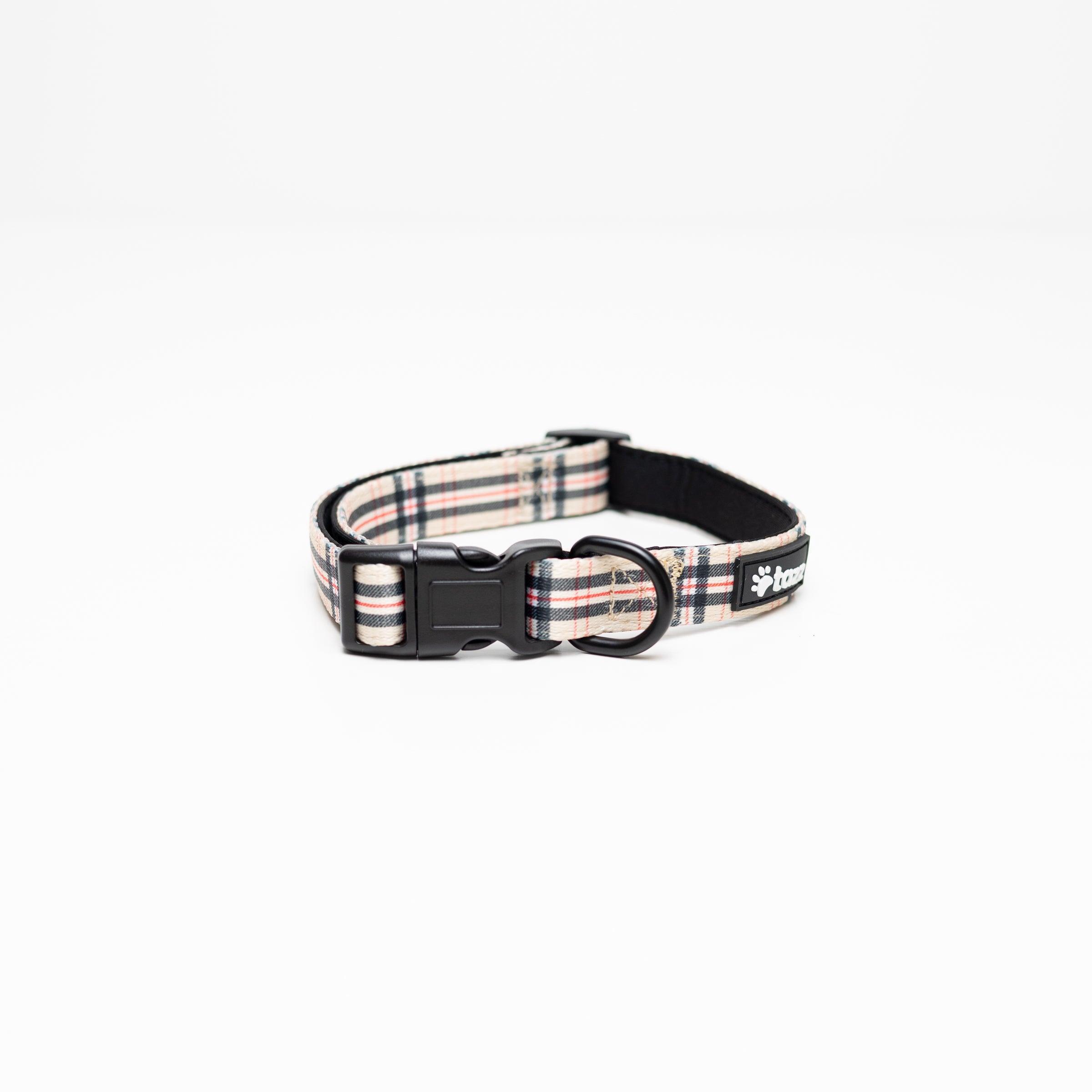 Halsband - Furburry - Tazz